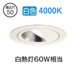 ※メーカー欠品中※ 大光電機 ウォールウォッシャーダウンライト（電源別売） LZD93110NWB 工事必要