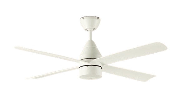 楽天市場】大光電機 シーリングファン リモコン付 ASN009W : 照明専門