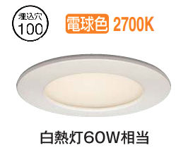 大光電機 軒下用ダウンライト DOL4839YW 工事必要