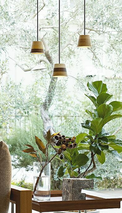 楽天市場】大光電機 ペンダント DPN41770YG 工事必要 : 照明専門店