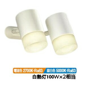 2個セット　LEDスポットライト　DSL-4781WW DAIKO 大光電機 スポットライト DSL-4781YW | 商品紹介 | 照明