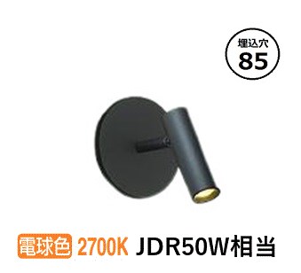 大光電機　DSL-5544YB　LEDスポットライト DAIKO 2個セット dsl-5493ybg.jpg
