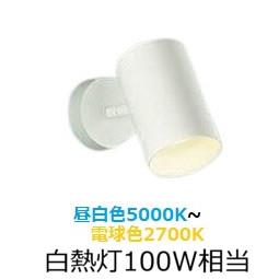 大光電機 スポットライト DSLCD210W 調色調光 白熱灯100W相当 屋内用 工事必要