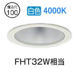 大光電機 落ち込むともし火 LZD93501NWB ワット数別売 工事已むを得ず