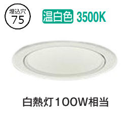 大光電機 落ちこむ点火装置（ワット数別売） LZD93503AWW 工事已むを得ず