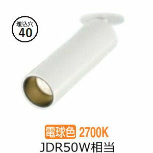 ※メーカー欠品中※ 大光電機 スポットライト 屋内用埋込取付型 DSL5544YW 工事必要