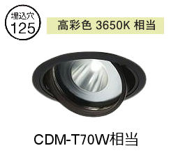 大光電機 生新しい食料雑貨類用ユニバーサルダウンライト LZD93772PBW ワット数別売 高ペンキ塗り Φ125 CDM-T70W好いかげんに 3650K 工事止むを得ず