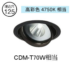 ※製造業者欠品中※ 大光電機 生新しい食料雑貨類用ユニバーサルダウンライト LZD93772TBW ワット数別売 高ペンキ塗り Φ125 CDM-T70W好いかげんに 4750K 工事已むを得ず
