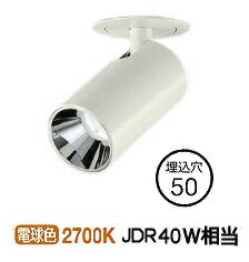 ※メーカー欠品中※ 大光電機 ダウンスポットライト（電源別売） LZS93118LWW 工事必要