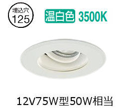 大光電機 軒下用ユニバーサル落ちこむ LZW9145AWM3 Φ125 12Vﾀﾞｲｸﾛ50W好いかげんに 3500K 工事已むを得ず