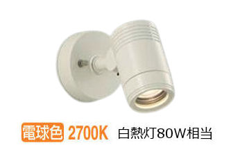 大光電機 露天注目の的 DOL4406YWE 白熱電球色 工事止むを得ず