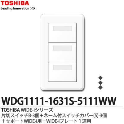 TOSHIBAスイッチ imgrc0066069601.jpg