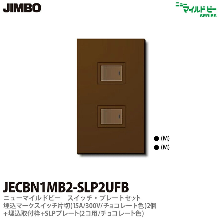 特注品 ドライカーボン製 高級 ハイエンド コンセント プレート C m2191 特注品 ドライカーボン製 高級 ハイエンド コンセント プレート C m2191