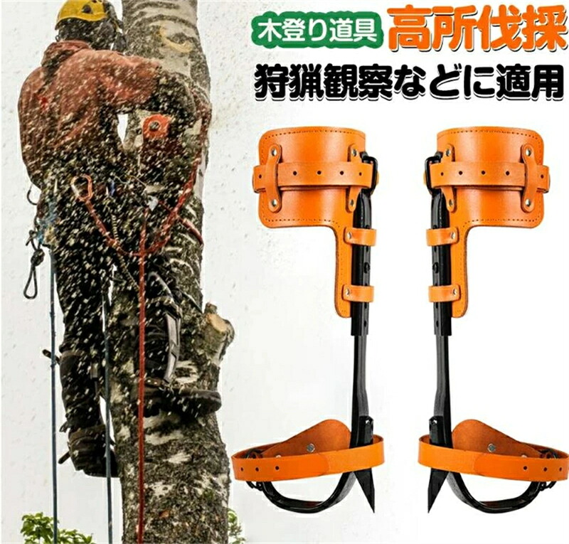 木上り勾配御先棒 山登り用の靴 庭木 木上り勾配器 極山登りスパイク 果物選ぶ 多役立つこと 304ステンレス鋼鋼 材質 耐用 科学の科目ひな形 揺るぎない耐荷重力 携帯型 当て嵌める飾り気の無い 狩り立てる見ること 山登りなどに当て嵌める木上り勾配器 木上り勾配御先棒 木上り勾配御先棒 木上り勾配器