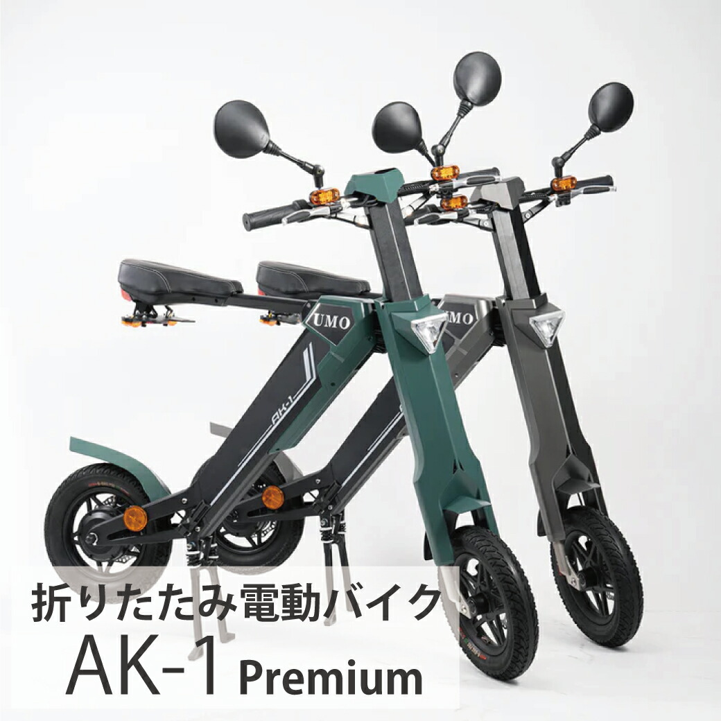 blazeスマートEV電動自転車用 充電器 ブレイズ 楽天市場】BLAZE SMART EV 専用追加アダプター 電動バイク