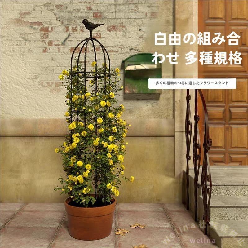 金属元素方尖柱 耐久性スチール写真導管径16粍 つる草木伏せ籠 大型草木受け支える 盛りだくさんなつる草木用 高さ180x差しわたし50糎 230糎 280糎 園芸拠りどころ