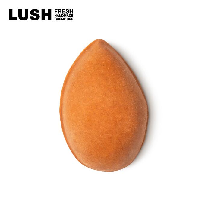 【楽天市場】LUSH パミス パワー 65g フット スクラブ 石鹸 軽石 ヴィーガン 足裏 かかと 角質 におい ひび割れ オレンジ