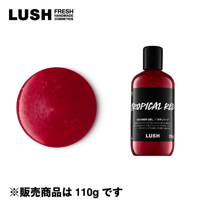 【楽天市場】LUSH ラッシュ 公式 グッドカルマ エブリバディニーズ