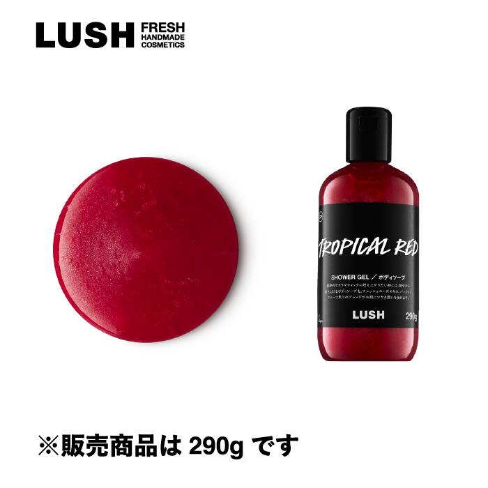 楽天市場】LUSH ラッシュ 公式 グラス シャワージェル 石鹸 ボディ