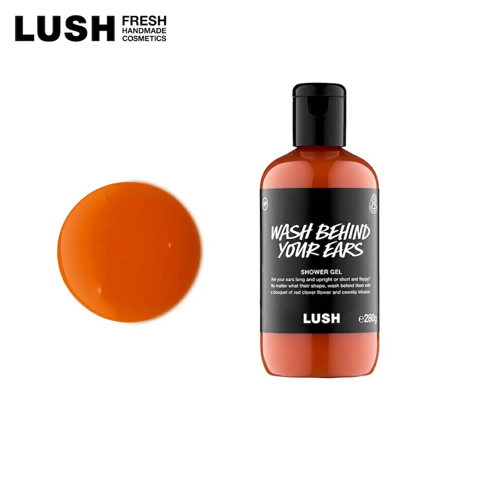 wash-71.jpg