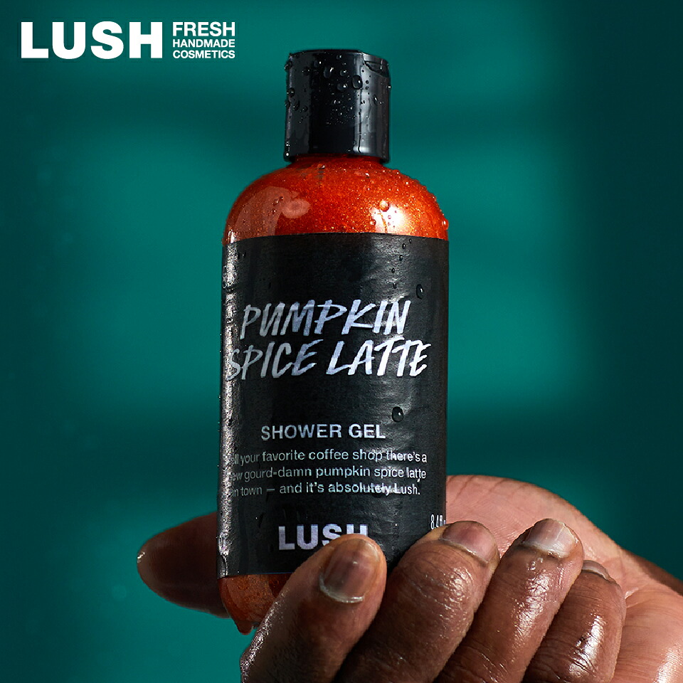 LUSH ラッシュ　まとめ売り16点 LUSH ラッシュ まとめ売り16点