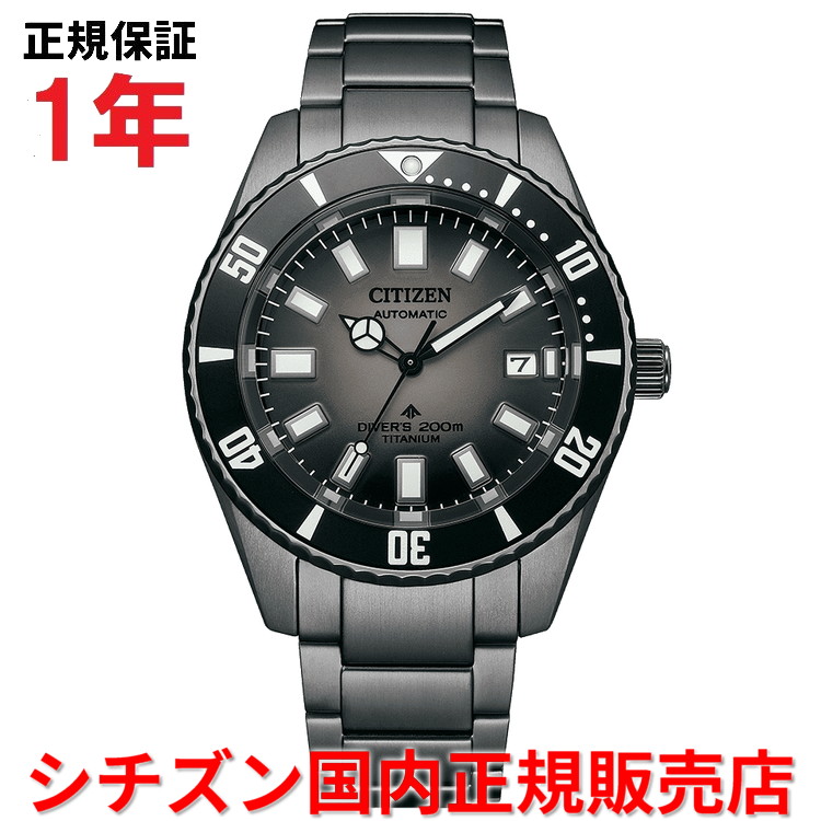 【国内置き目品】 シチズン プロマスターマリン 機械的ダイバー CITIZEN PROMASTER MARINE 41粍 メンズ ウォッチ 御覧なさる 自動小銃一巻き チタン腕輪 黒いこと文字記号盤 黒 NB6025-59H