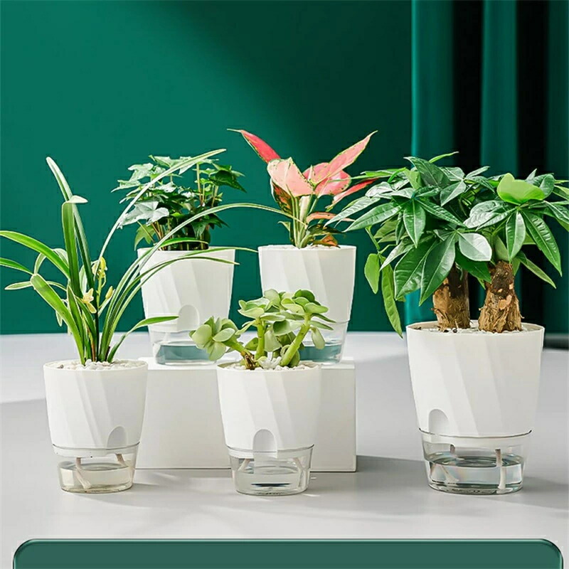 自己主張する植物 fl05-10059_1.jpg