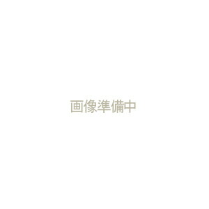 [入れもの売りわたす] 50冊入り口・入口 MA-2 前橋市決める 身寄り用 中 30Ｌ 10枚 (一画決めるくず物袋 ゴミ袋 ポリ袋 システムポリマー 30リッター)