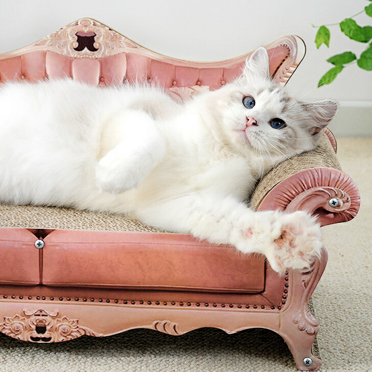 送料無料 ペット 猫 猫用爪とぎベッド 長持ち 猫用 段ボール爪とぎ 猫 ...