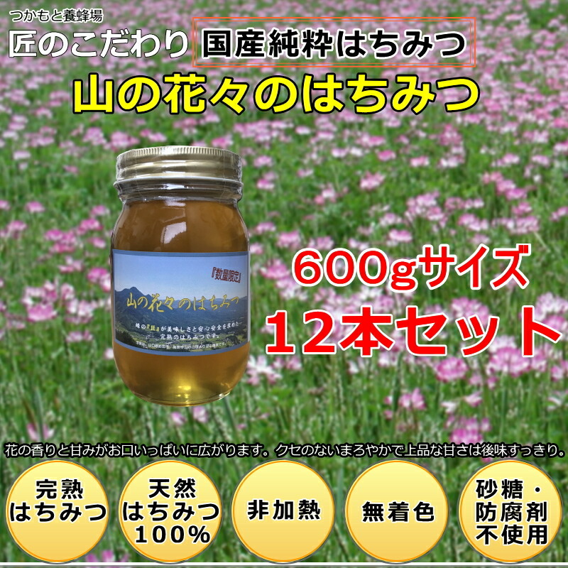 国産非加熱】山の花々のはちみつ 600g×24本 つかもと養蜂場 | unimac.az