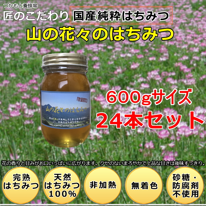 健康志向】山々のはちみつ 600g×24本 つかもと養蜂場-