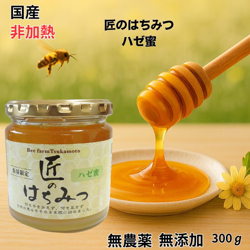日本蜜蜂の天然ハチミツ　無添加　非加熱　内容量５００g × 3本 日本みつばち 国産はちみつ 純粋はちみつ 非加熱 蜂蜜 無添加 無