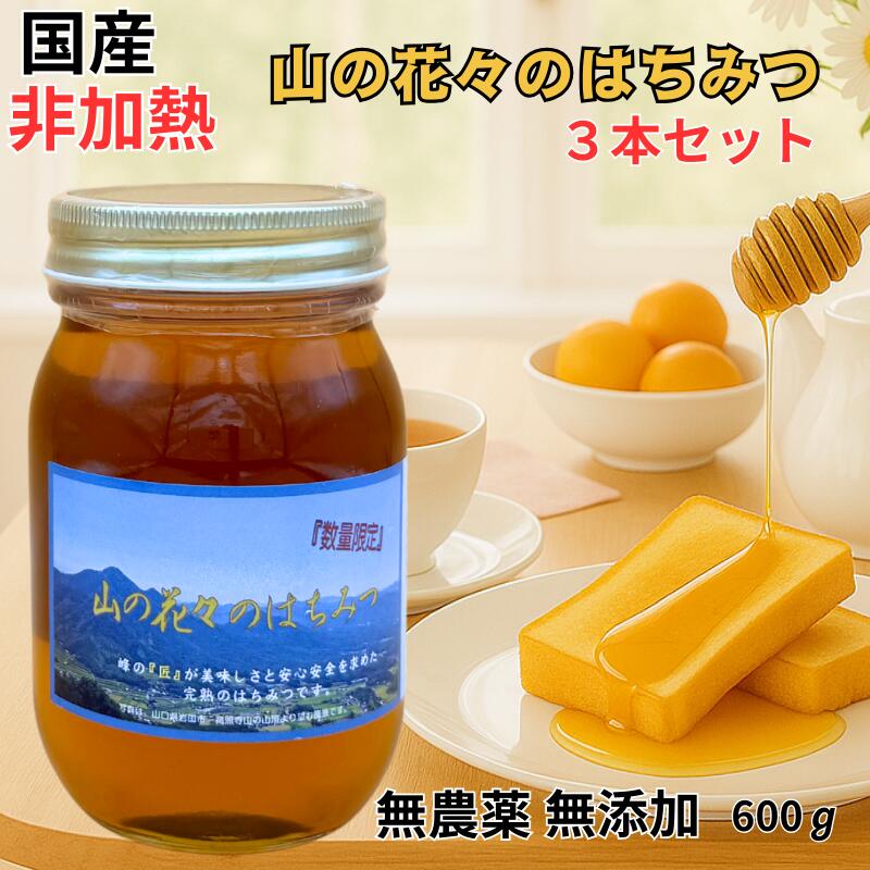 つかもと はちみつ 完熟 生 国産 純粋蜂蜜 無添加 非加熱 600g ✖️3個 つかもと はちみつ 完熟 生 国産 純粋蜂蜜 無添加 非加熱 600g