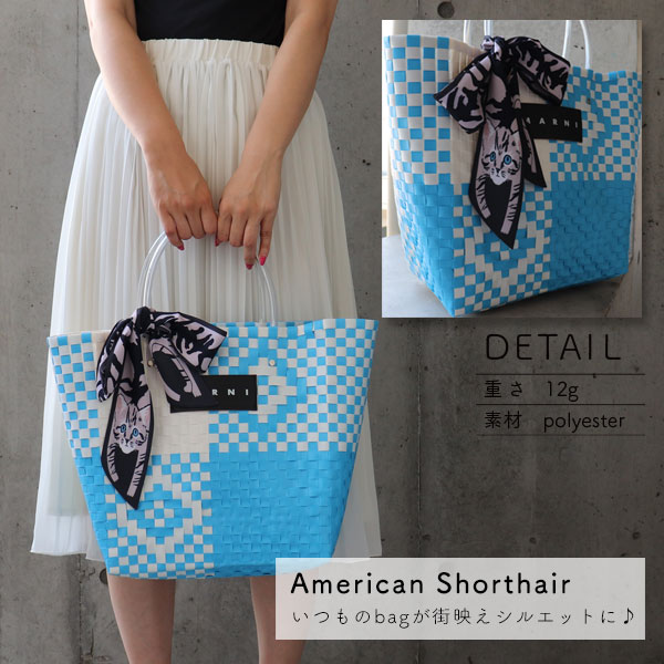 楽天市場 ファッションのアクセントに ねこ アメリカンショートヘアー デザイン スカーフ Td メール便可 ラグゼアンダーウェアショップ