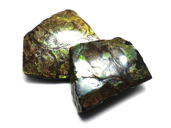 原石 アンモナイト 幅31ｘ45mm～50ｘ61mm前後　/　厚み：6～18mm前後 原石 アンモナイト 化石 虹 レインボー Ammonite 古生物 置物 鉱石 宝石 標本 アンモナイト化石 天然石 化石 パワーストーン｜ＬＵＺ-光