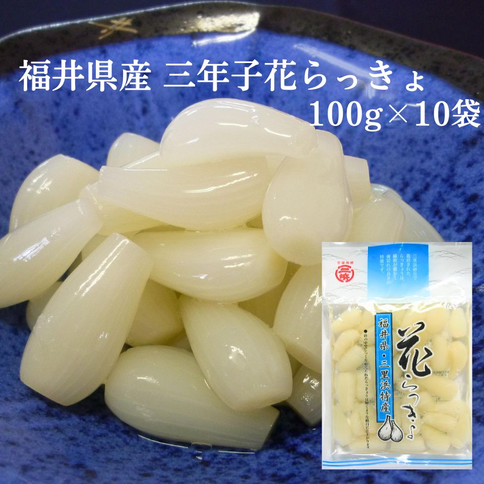 福井県三里浜産 三年子 花らっきょ 100ｇ×10個 セット 国産 らっきょう 漬物 シャキシャキ 食感 ご飯のお供