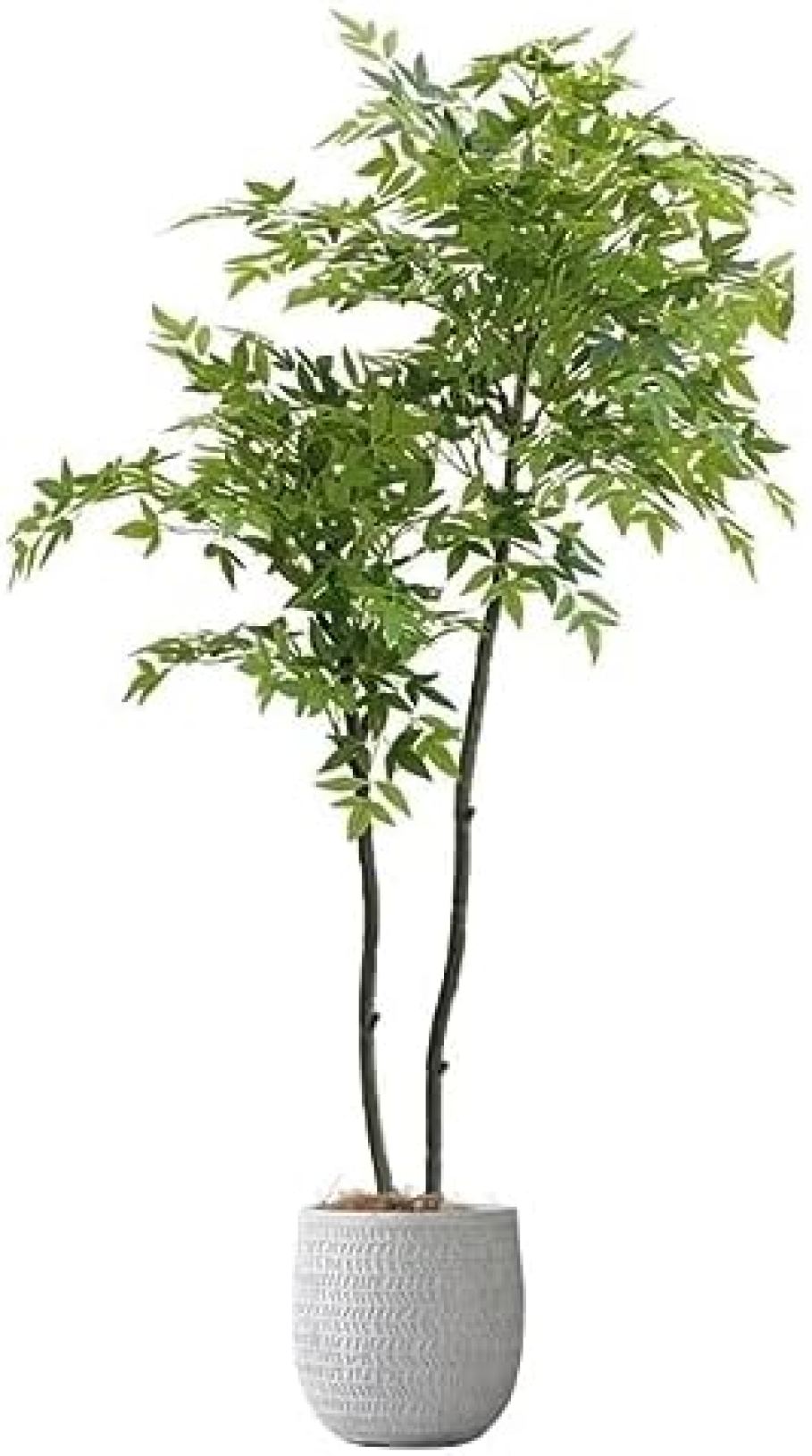 偽の木 人工植物の木緑の植物シミュレーション植物盆栽インテリア装飾ホームオフィス寝室の庭 本物そっくり (Size : 160cm)|大森麗萱