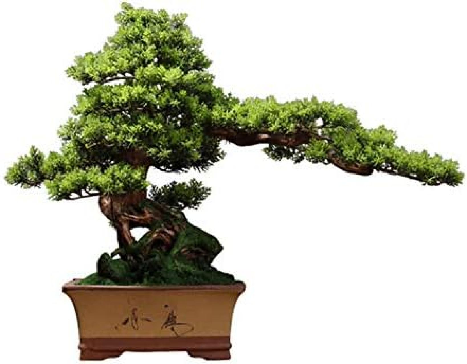 人工観葉植物 オフィスレストランの家の装飾、19.7 hのための人工盆栽の木シミュレーション歓迎松の盆栽植物の飾りセラミック植木鉢の植物植物 人工盆栽|大森麗萱