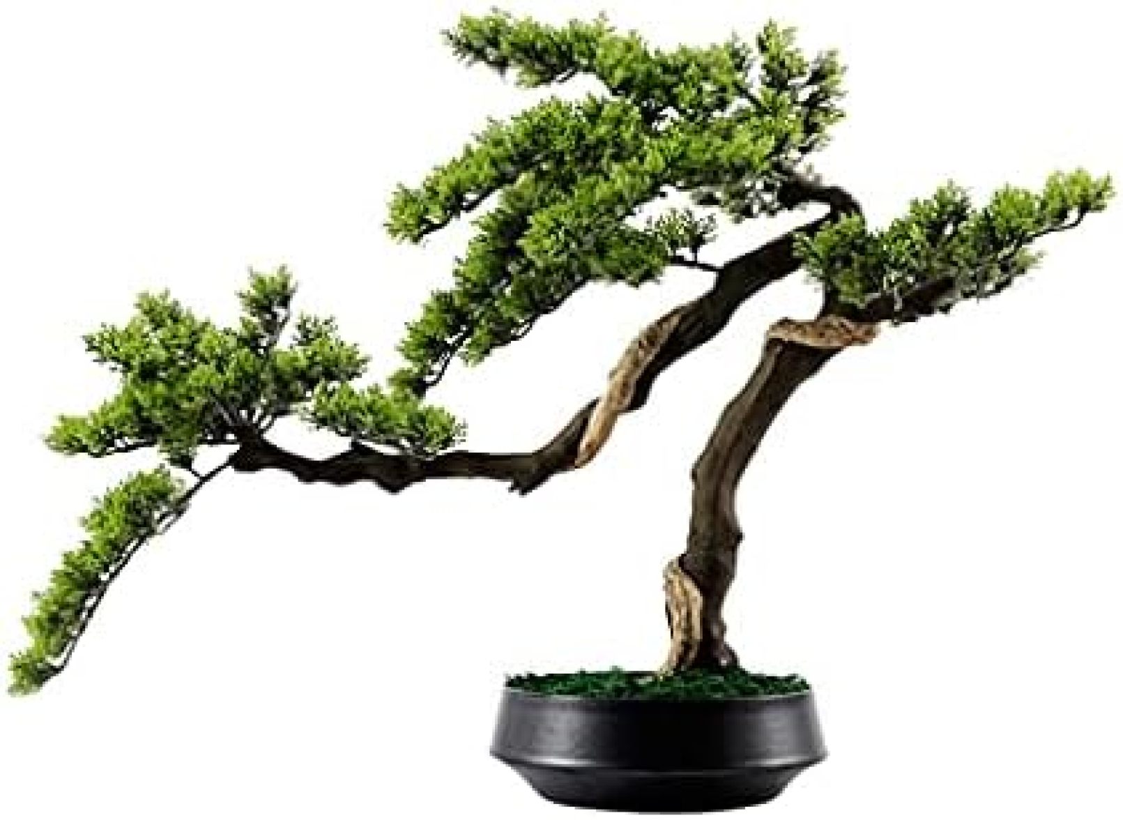 人工観葉植物 盆栽 リビングルーム シミュレーション 松の木 セラミック植木鉢 シンプルな雰囲気 ホーム オフィス 書斎｜大森麗萱 61,644円
