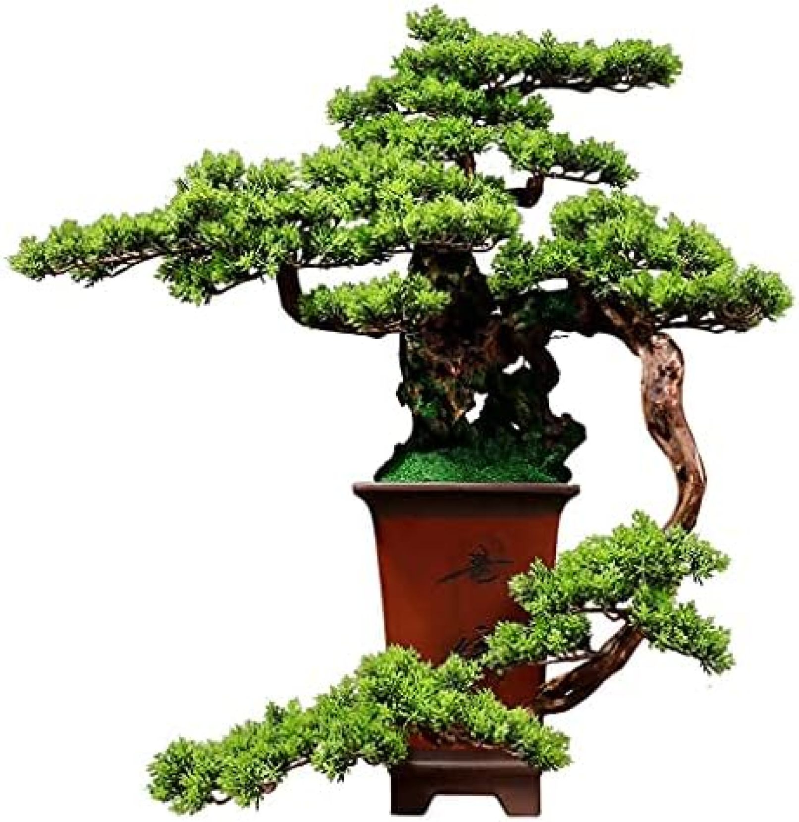人工観葉植物 盆栽 根彫り 人工葉 セラミック植木鉢 手塗り鉢 本体 書斎?事務室｜大森麗萱