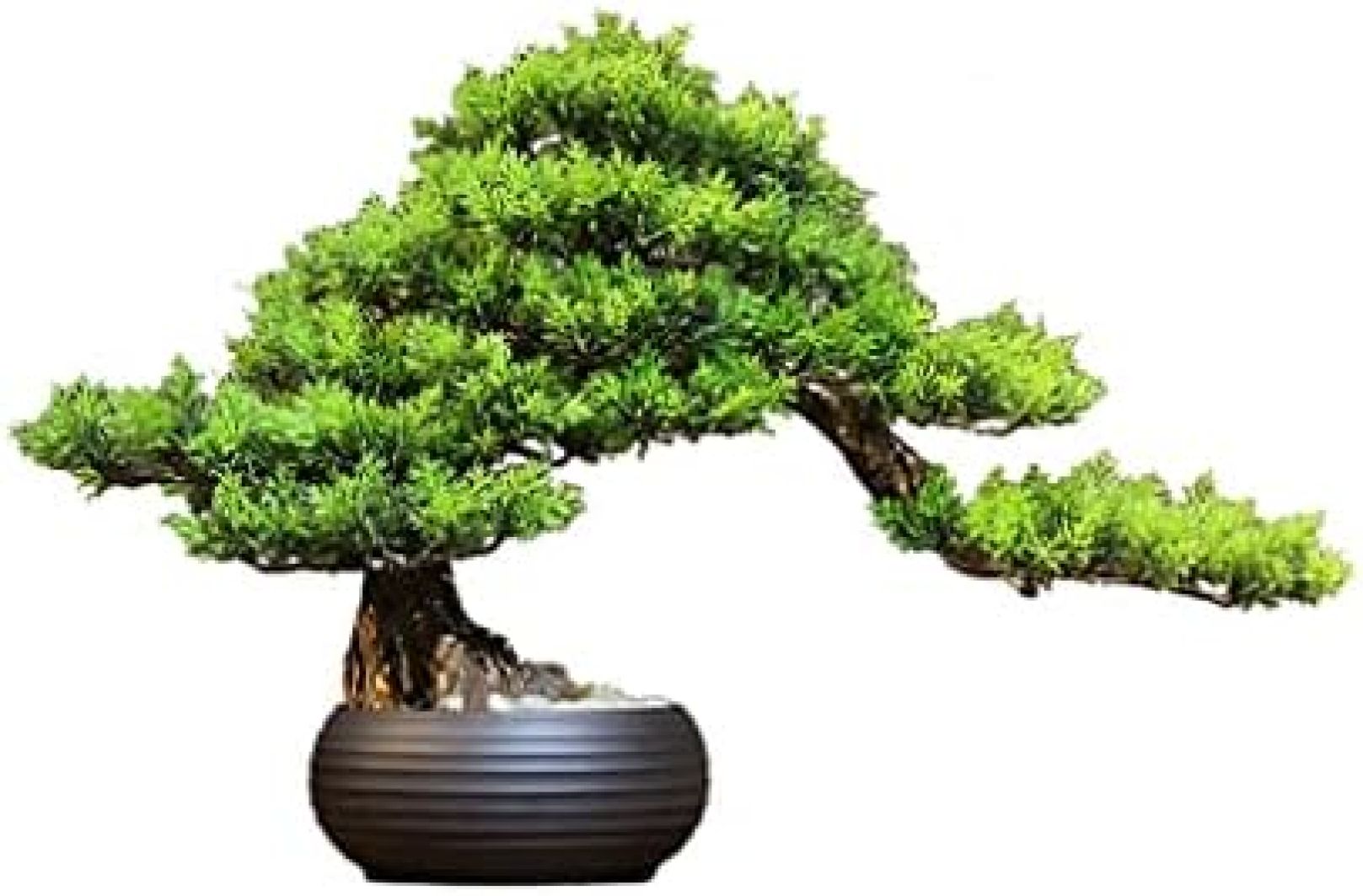 人工盆栽の木 鉢植えの植物の飾り 盆栽シミュレーション盆栽植物 偽の植物の装飾 鉢植えの人工観葉植物 デスク ホーム オフィス用 人工観葉植物|大森麗萱