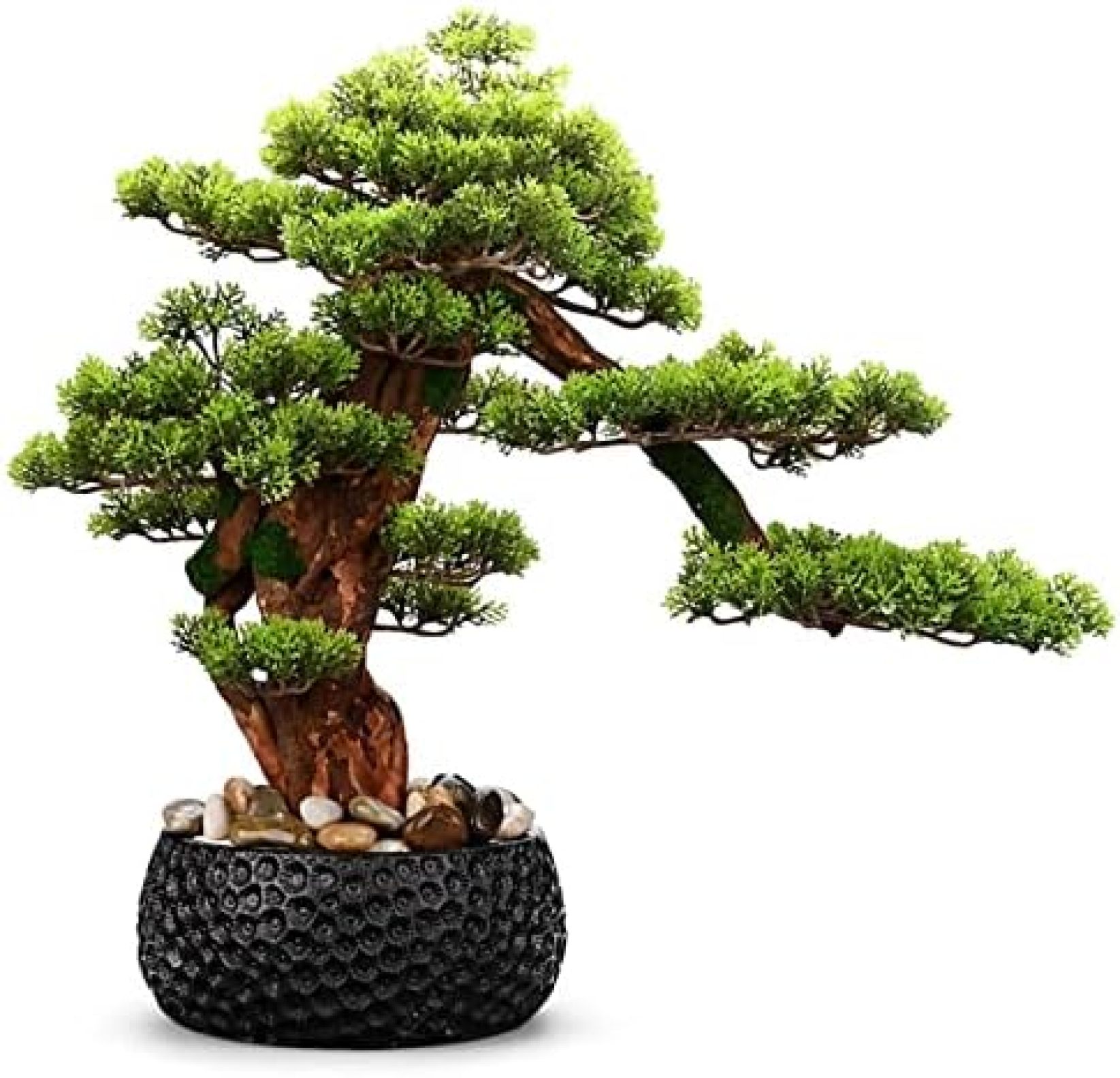室内装飾用の人工観葉植物 中国の玄関盆栽屋内緑化大型鉢植えシミュレーション植物オーナメントブラックセラミックフラワーポット付き 偽の植物|大森麗萱