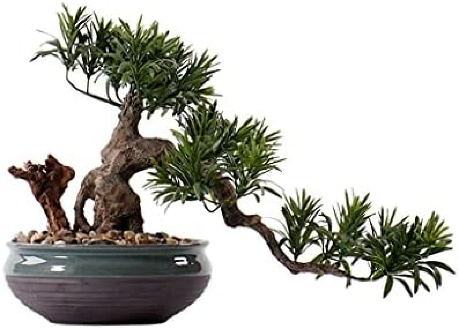人工樹木 シミュレーション 松の木 盆栽 フェイク 鉢植え 装飾 人工観葉植物 室内装飾 11.8インチ 人工観葉植物|大森麗萱