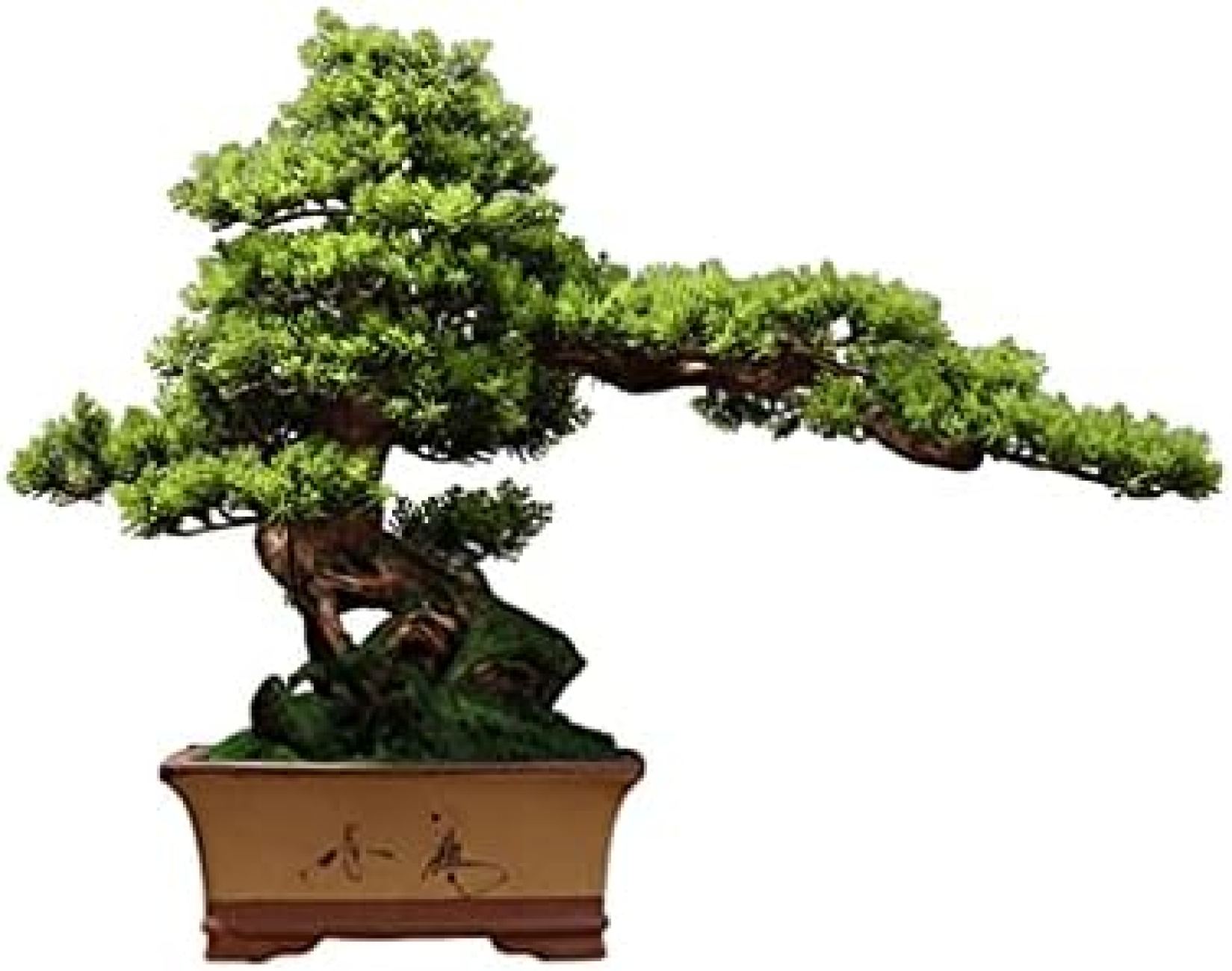 人工観葉植物 盆栽 紫砂植木鉢 造葉 人工観葉植物 鉢植え リビングルーム 勉強部屋 オフィス｜大森麗萱