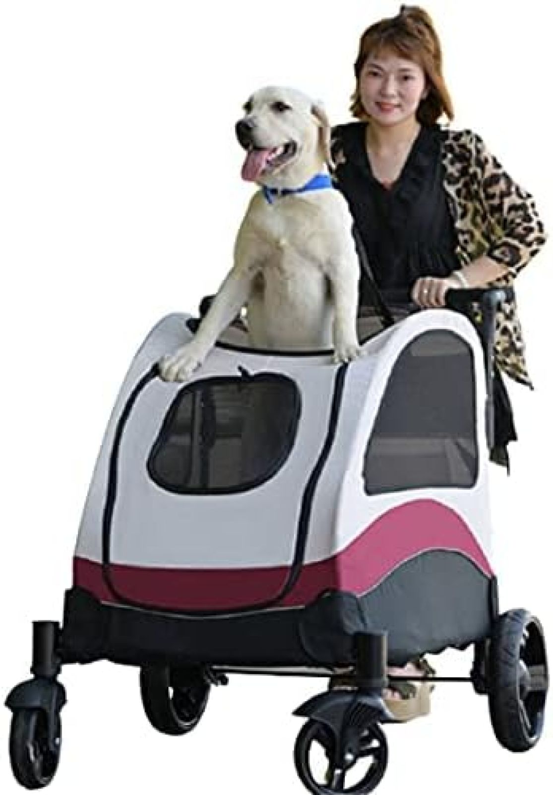 【20%OFFクーポン~】ペットカート 犬用 キャリーカート 犬用ベビーカー ペットバギー 折りたたみ式 犬 カート 猫犬兼用 360°回転可能 後輪ブレーキ付き 多頭用 多機能 軽量 組み立て簡単 おでかけ 旅行 老犬 補助|大森麗萱