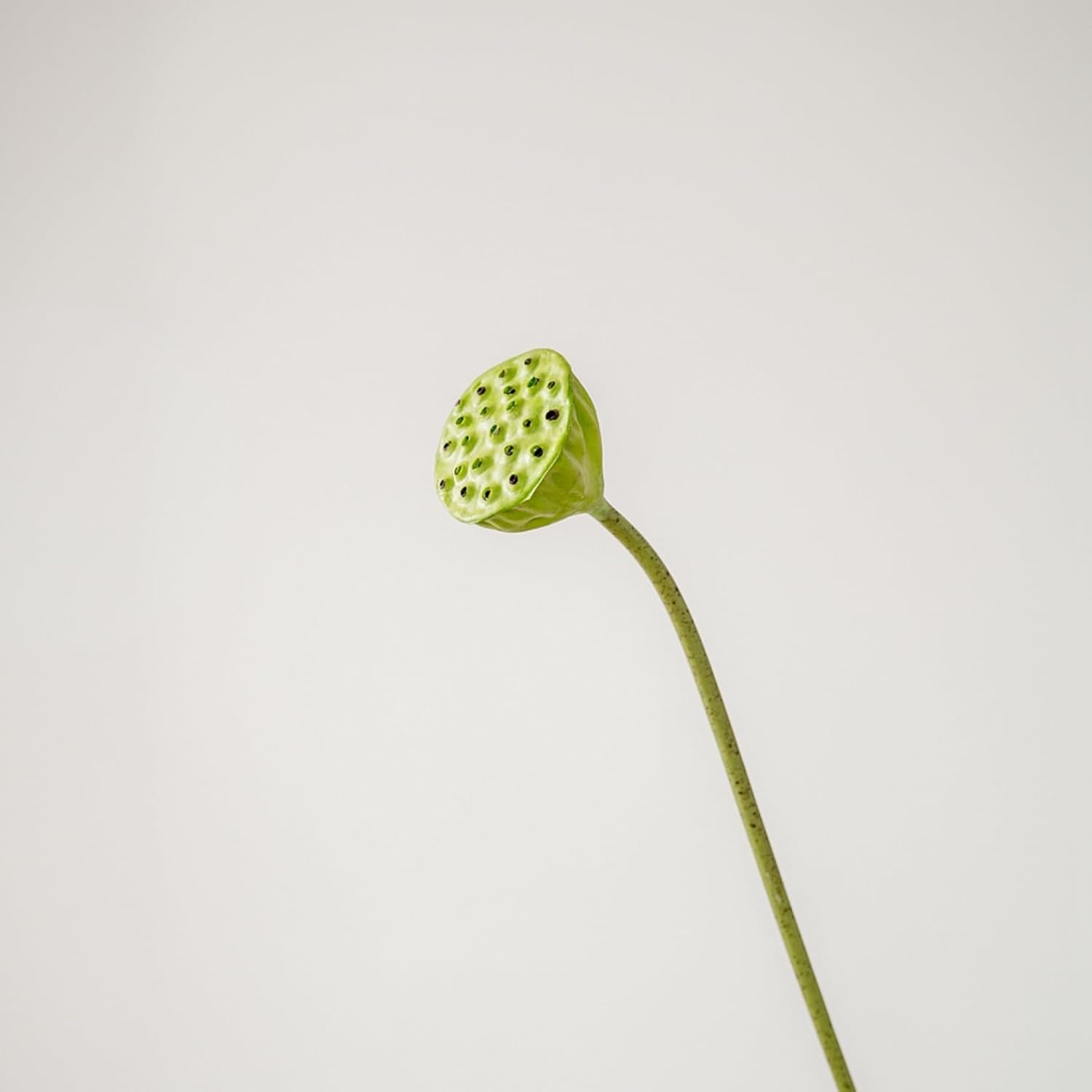 造花 蓮の花 フェイクフラワー シルクフラワー 水やり不要 枯れない アートフラワー フラワーアレンジ リアル おしゃれ リビング 玄関 仏壇 テーブル装飾 DIY インテリア 仏花 花束 ブーケ 撮