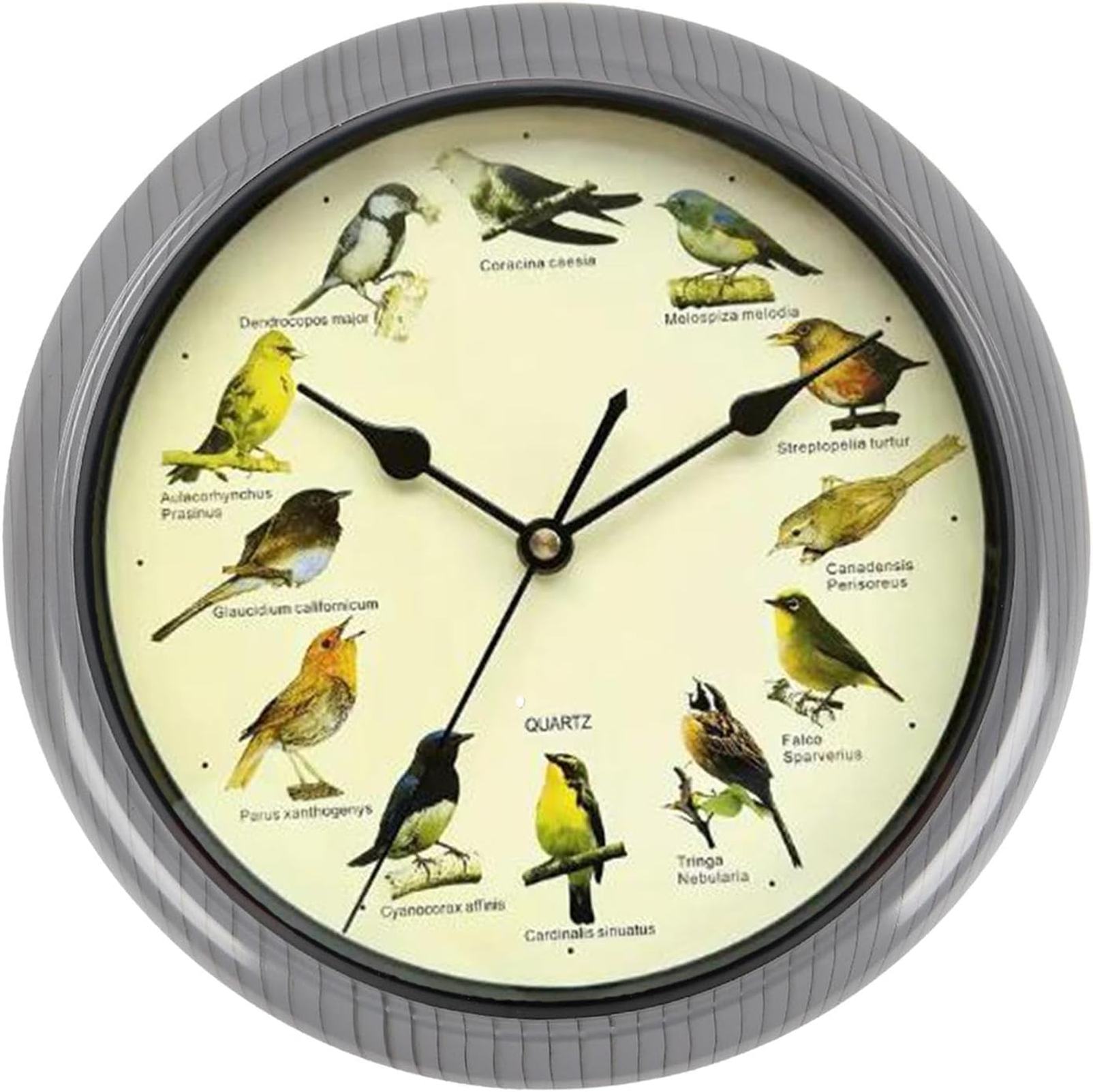 歌う野鳥の壁時計 電池式 装飾 多目的 メロディー時計農家用 雑貨 無騒音 部屋装飾 プレゼント 置き時計 アナログ シンプルでおしゃれな時計