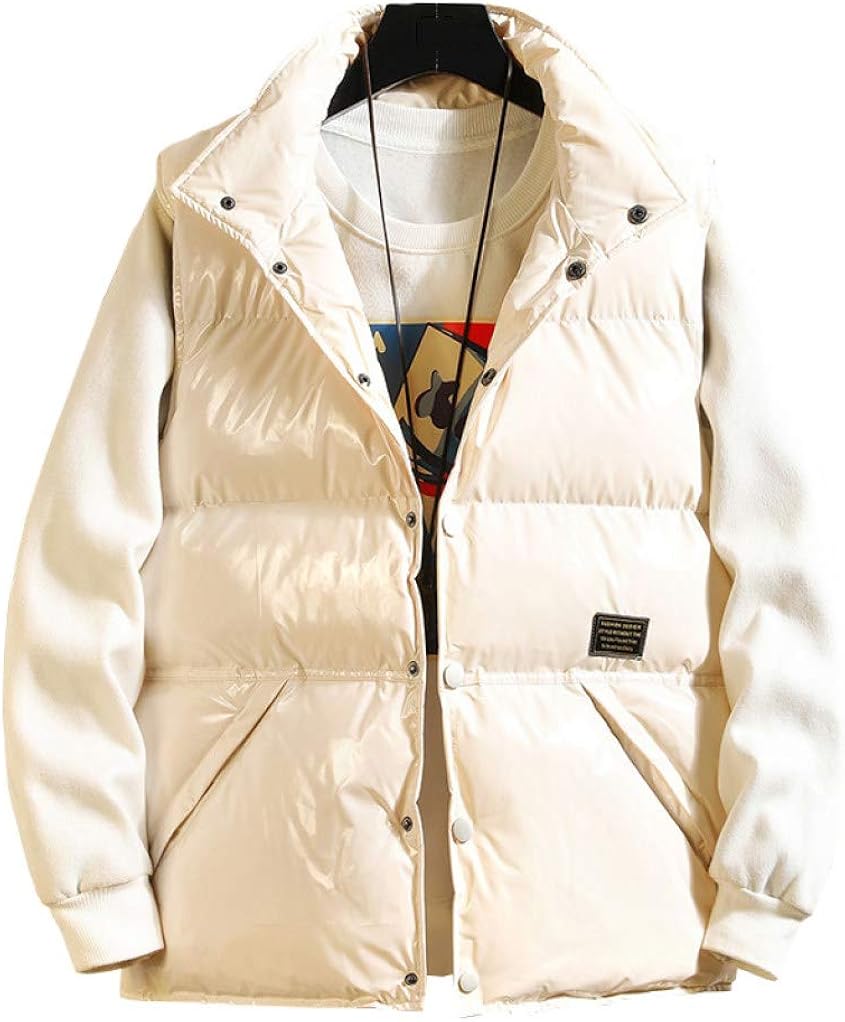 【全店通用25％OFFクーポン】メンズベスト ダウンベスト 秋冬 大きいサイズ M-5XL 中綿ベスト 厚手 防寒 防風 暖かい 立ち襟 袖なし ゆったり ファッション かっこいい 通勤 通学 お出かけ アウトドア 無地 4色｜大森麗萱