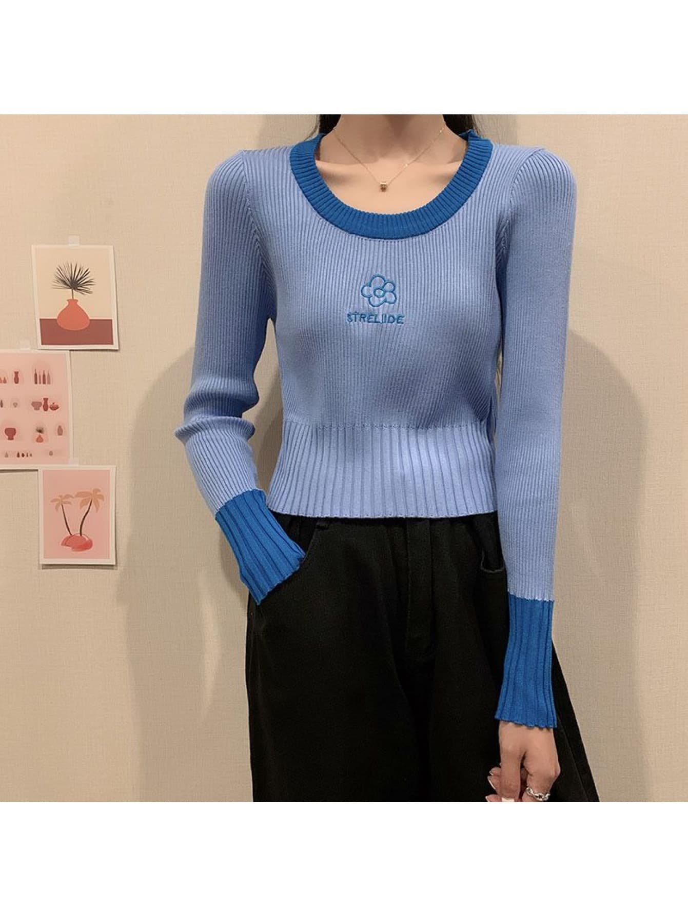 【全店30％OFF引き換え証があり】【色彩設計肋材】 編み物 レディース スウェーター 労働者の一団のど首 丸首 バイ色合い トップス 長袖 刺しゅう ワンポイント 花柄 クロップド丈 遊撃手丈 リブニット カットソー きつい 伸縮 伸ばすこと 重ね着 肌付き 柔ら