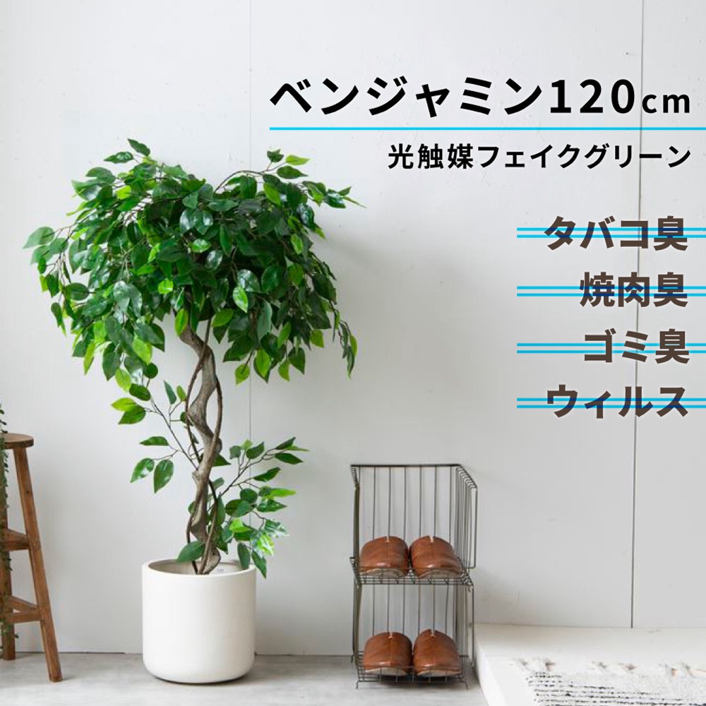 楽天市場】レビュー特典あり フェイクグリーン フェイク 光触媒 楽天市場】レビュー特典あり フェイクグリーン フェイク 光触媒
